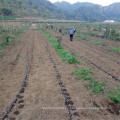 Sistema de riego por goteo integrado de agua y fertilizantes